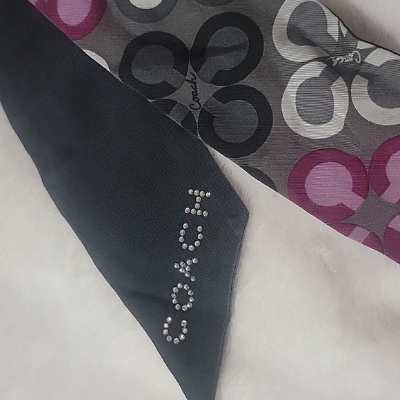 Coach Bag Scarf *callout* - Picture 7 of 7